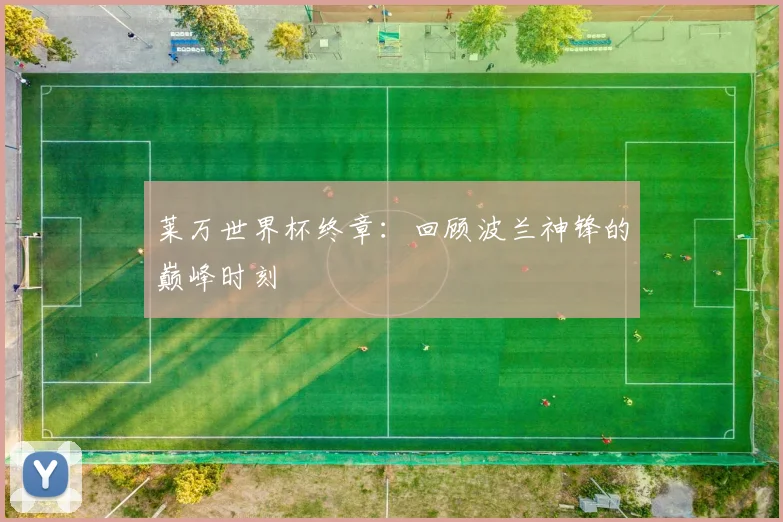 莱万世界杯终章:回顾波兰神锋的巅峰时刻
