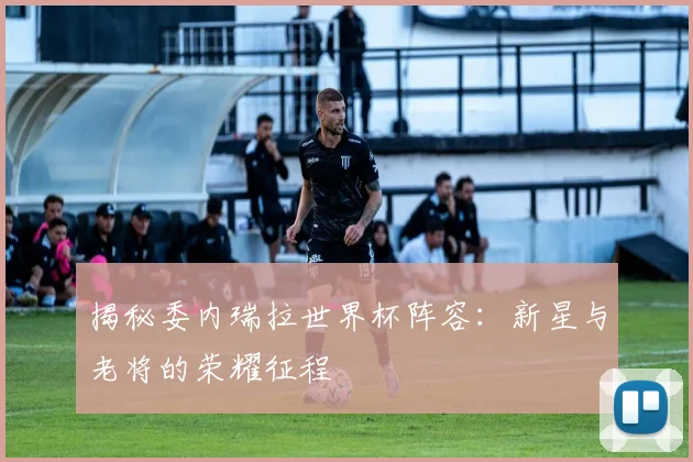 揭秘委内瑞拉世界杯阵容：新星与老将的荣耀征程