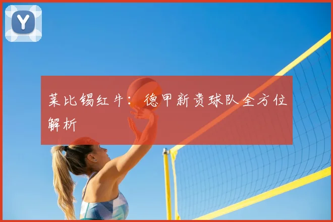 莱比锡红牛：德甲新贵球队全方位解析