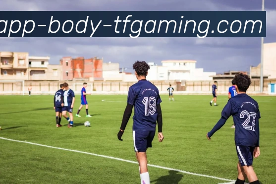 雷火电竞APP平台生态图